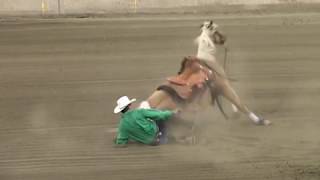 Horse Reining Accident