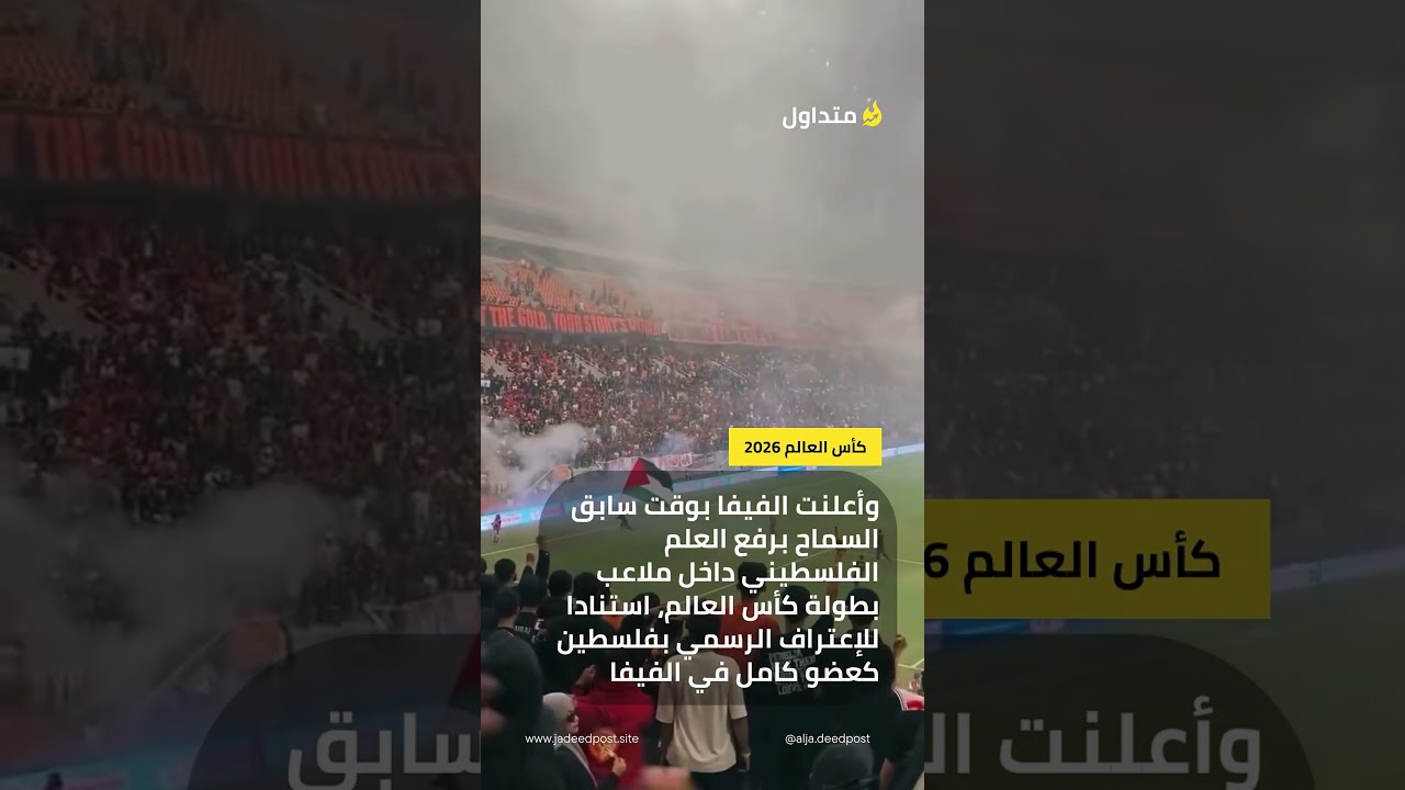 مشجع يرفع علم فلسطين في احد ملاعب كأس العالم