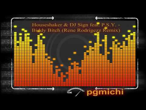 Houseshaker & DJ Sign feat. P.S.Y. - Biddy Bitch (Rene Rodrigezz Remix) HQ by:pG