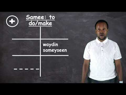 Samee Past Tense Positive