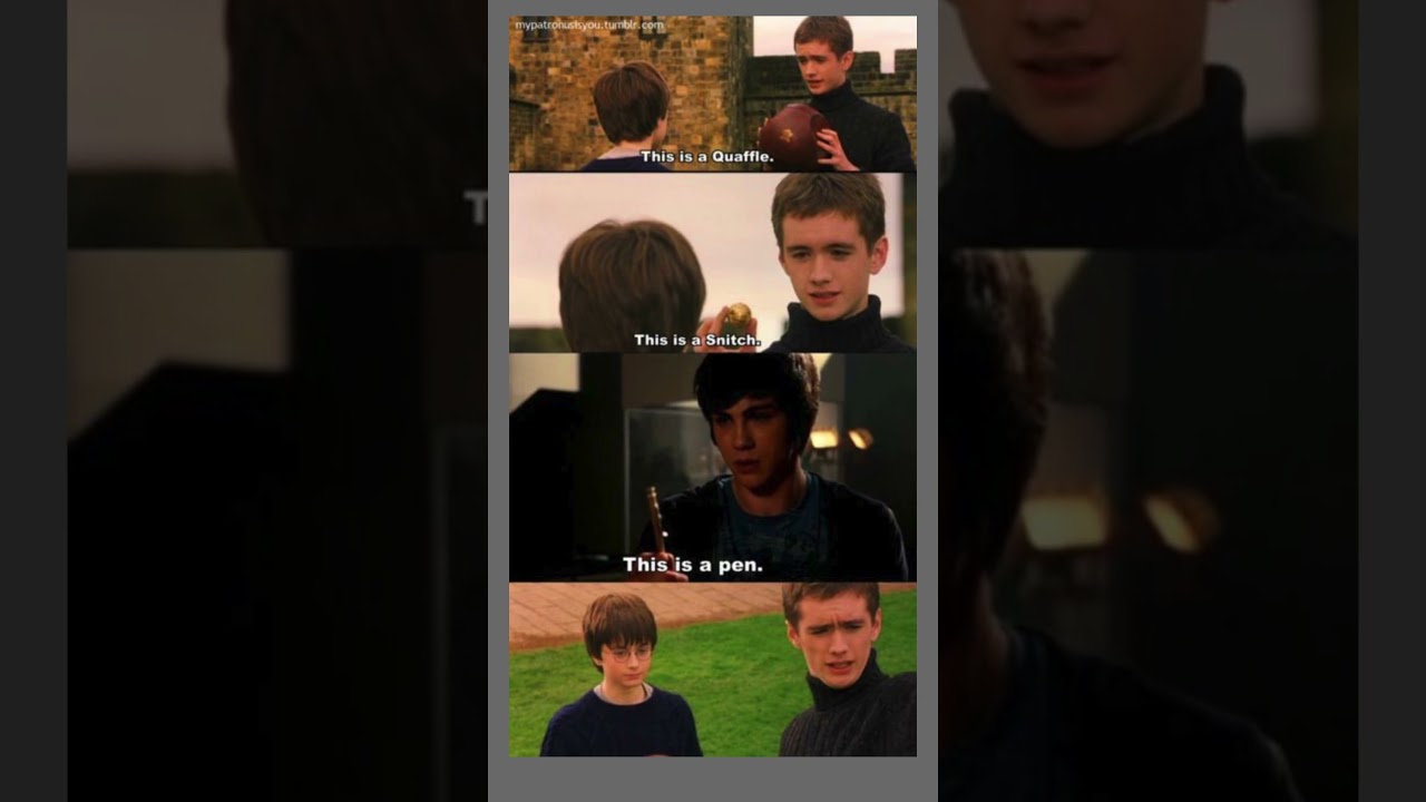 Harry Potter MEMES 35