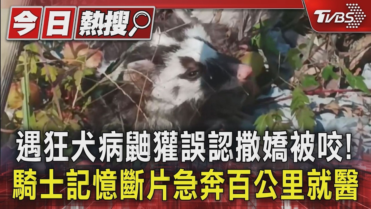 野生鼬獾「磨蹭撒嬌」竟是狂犬病! 他被咬傷狂奔百公里保命