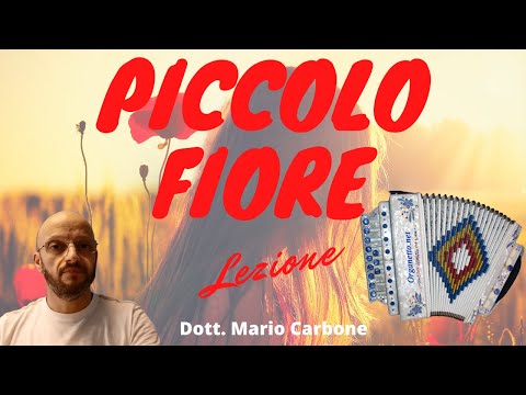 2 e 4 Bassi - Lezione - PICCOLO FIORE DOVE VAI - Accordion diatonic Organetto