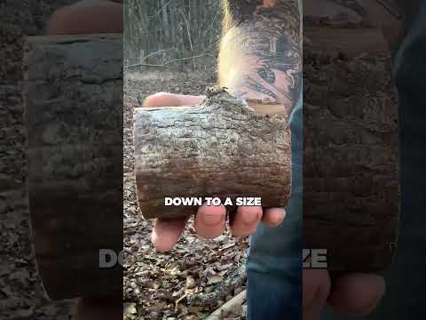 Cooking With One Small Piece of Wood #survival