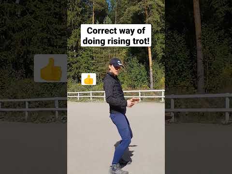 Do rising trot like this! (rising trot/posting trot biomechanics)(horse riding)