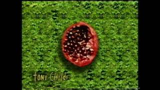 Toni Childs - The Woman&#39;s Boat album ad (1994)