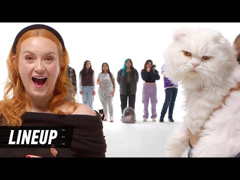 Match Cat to Their Owner | Lineup | Cut