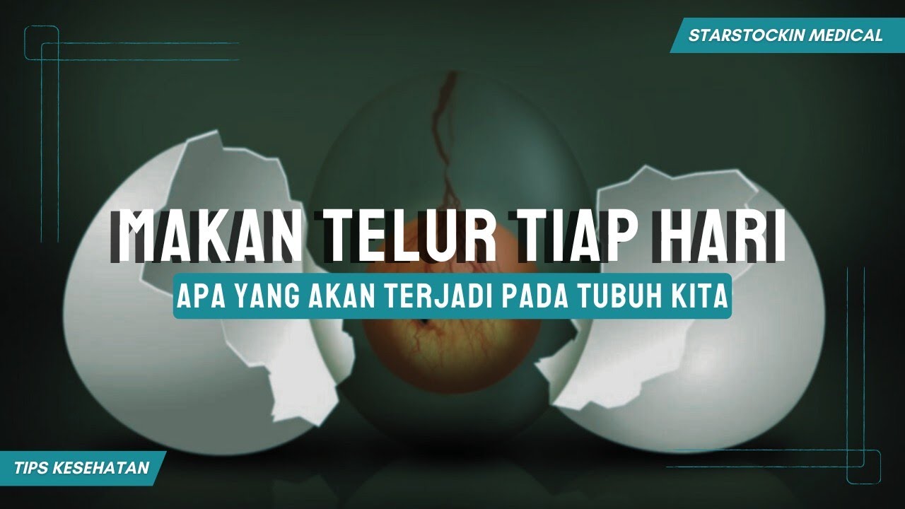 MENYESAL BARU TAHU !! TERNYATA MAKAN TELUR TIAP HARI ADALAH JAWABANNYA !!
