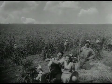 Our Daily Bread (1934) King Vidor (ENDING SCENE)