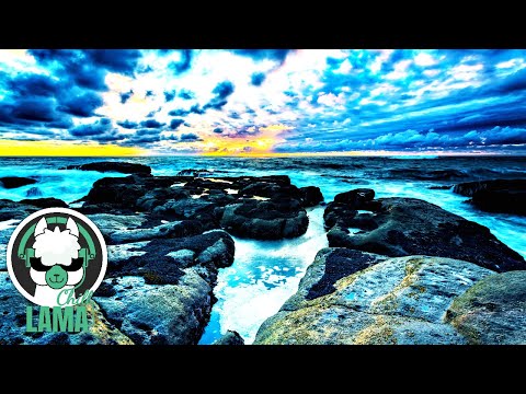 Tigerforest - Amanyara | Best Positive Chilllout Music