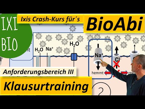 AFB III Klausurtraining 2a Proteinbiosynthese Anwendung – Mukoviszidose – Systemebenen verstehen NEU