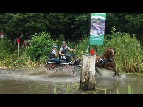 VAN DER DOELEN Frank 1, NED, CAI2# Exloo, H1, Marathon Ob 2, 15 08 2020