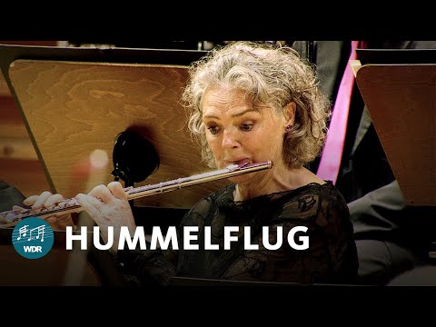 Flight of the Bumblebee - Nikolai Rimsky-Korsakov | WDR Funkhausorchester