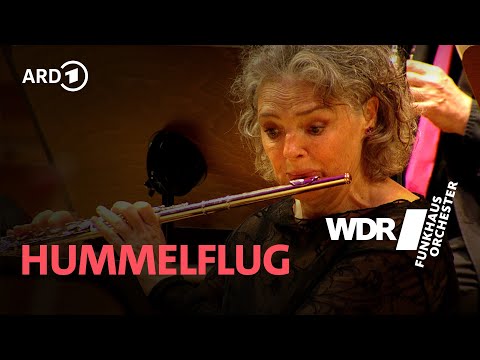 Hummelflug - Rimskij-Korsakow  | WDR Funkhausorchester