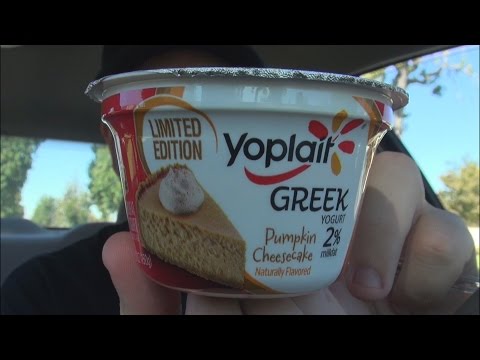 download lagu mp3 mp4 Greek Yogurt Pumpkin Cheesecake Recipe, download lagu Greek Yogurt Pumpkin Cheesecake Recipe gratis, unduh video klip Greek Yogurt Pumpkin Cheesecake Recipe