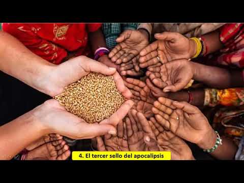 Los sellos y los 10 días de tribulación mundial  Línea de tiempo completa de todo el apocalipsis