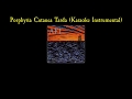 AFI - Porphyria Cutanea Tarda (Karaoke Instrumental)