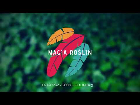 #3 Magia roślin