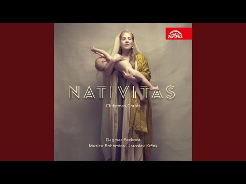 Chtíc aby spal - Vánoční noc