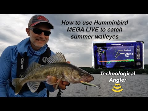 Use Humminbird MEGA Live and Jigging Raps to Catch Summer Walleyes