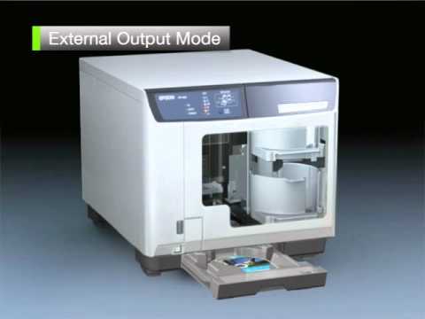PP-100 AP