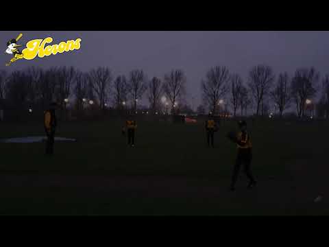 Herons in het licht!