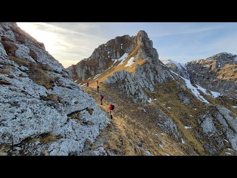 Acele Morarului (Tura CAR) - 07.11.2020