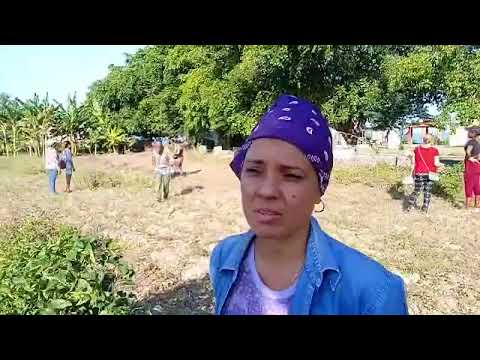 Periodistas manzanilleros se suman a labores agrícolas