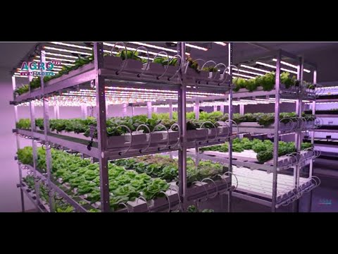 , title : 'AGRI SMART – Agricultura inteligentă în cultivarea plantelor în fermele verticale'