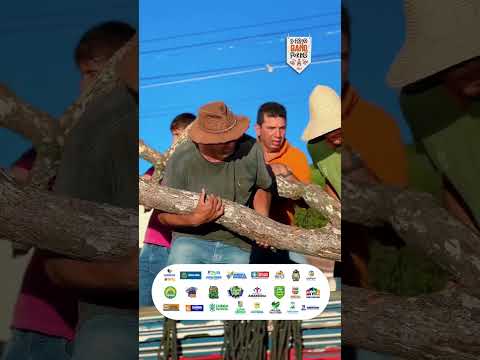 Em Mirangaba, a tradicional Fogueira de Ramos é muito mais que uma celebração junina