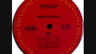 Joy (12 Inch Version) - Marvin Gaye