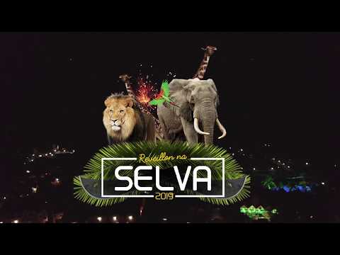 REVEILLON NA SELVA ODY PARK 2019 - AFTERMOVIE