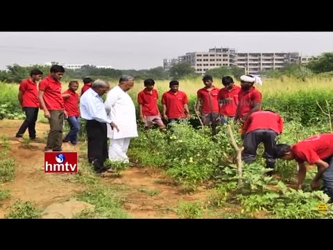 Eklavya Foundation Natural Agricultural Revolution in Crop Farming with Youth | Nela Talli | HMTV