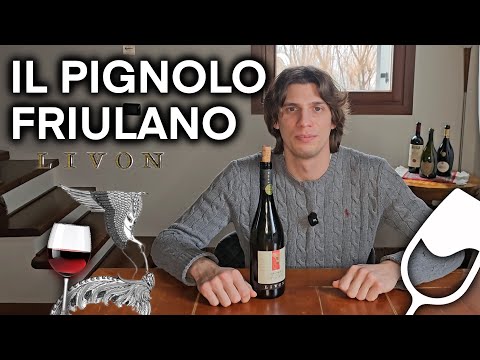 ECCELLENZA FRIULANA: il PIGNOLO 🍷🔥😍