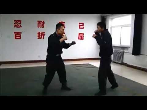 sanda self defense