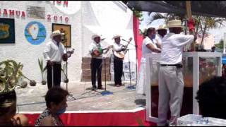preview picture of video 'Trio tamalin en Tamiahua 2010'