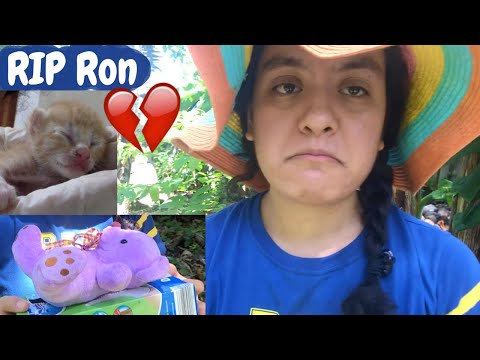 My Foster Kitten Passed Away | Goodbye Ron