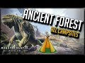 How To Find All Ancient Forrest Camps - Monster Hunter World - Guide 2