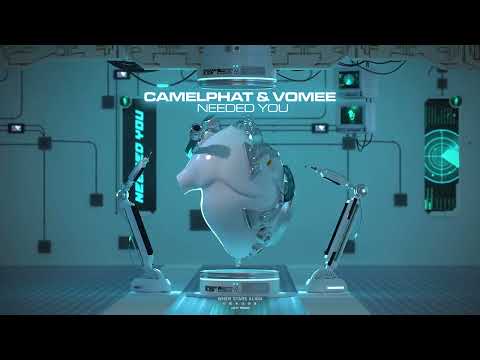 CAMELPHAT & Vomee - Needed You