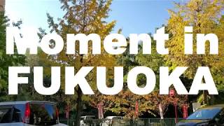 FUKUOKA Travel Blog【沖縄→福岡】JAPAN