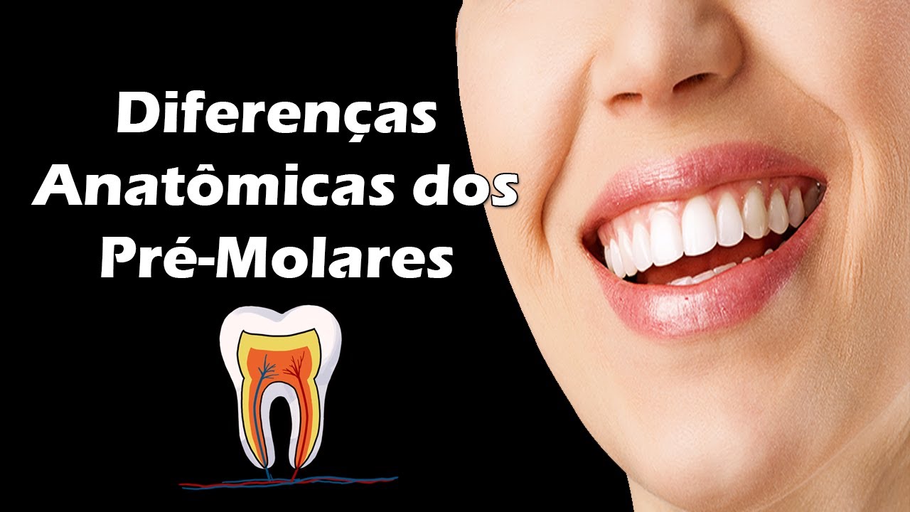 Aula de Anatomia Dental - Diferenças Entre Pré-Molares Superiores e Pré-Molares Inferiores