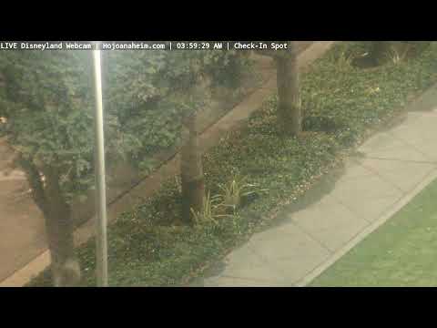 Live webcam of Disneyland Cam