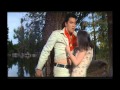 Elvis Presley - Too much