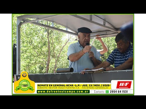 REMATE FERIA de NÉSTOR HUGO FUENTES S.A. - JUEVES 13 / NOV. / 2025 - GENERAL ACHA -L.P.-