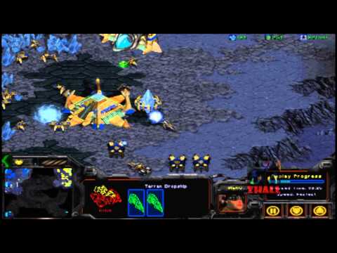 Starcraft 1 movie[P] vs Leta[T]