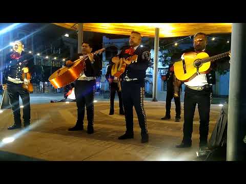 Video de Mariachi Luz y Sombra