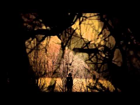 Jozef van Wissem - "Love Destroys All Evil" (official)