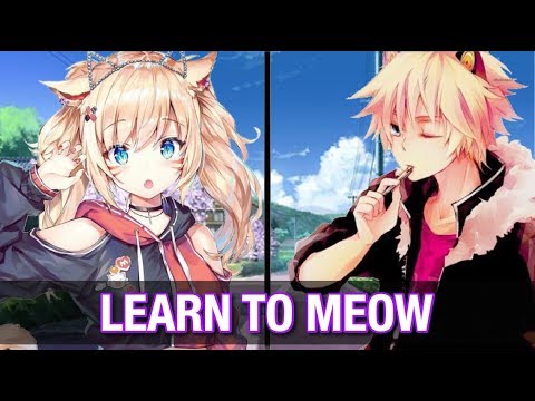 【Nightcore】↬ Learn To Meow (Switching Vocals / Lyrics)