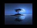 David Sylvian - Silver Moon - HQ