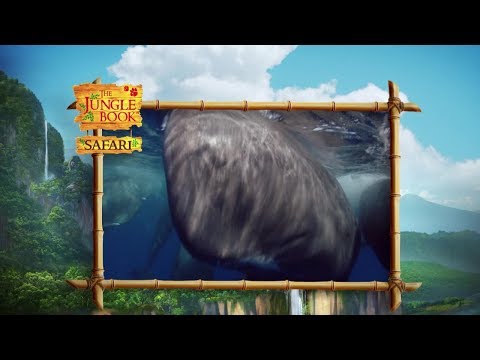 The Jungle Book Safari - Episode 5 -  Big Animals